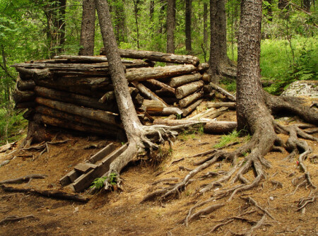 Кто в доме том живет?..