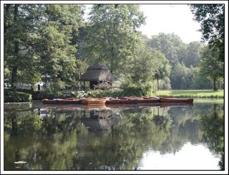 Утро в парке