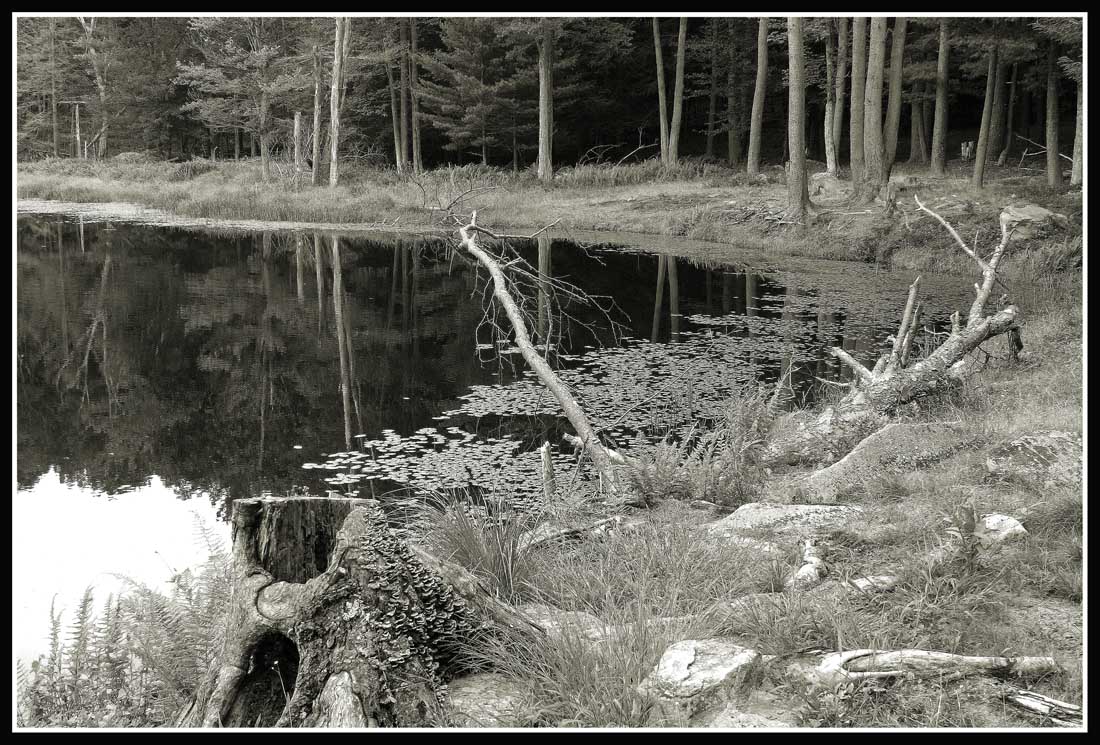 lake