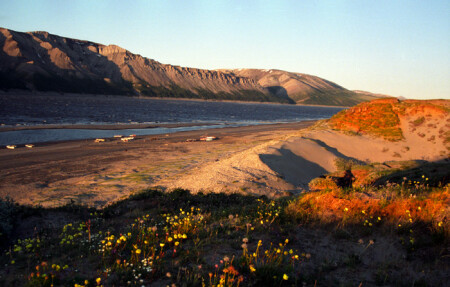 Берега Лены