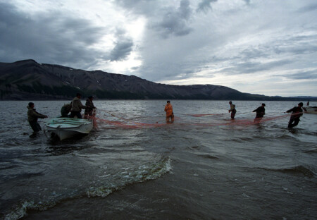 Ленская рыбалка