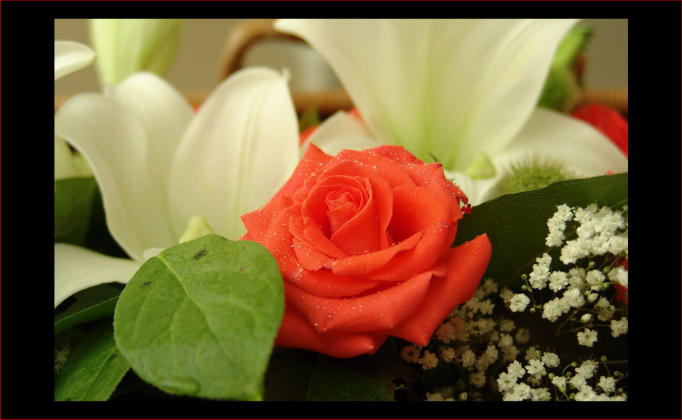 birthday flower...