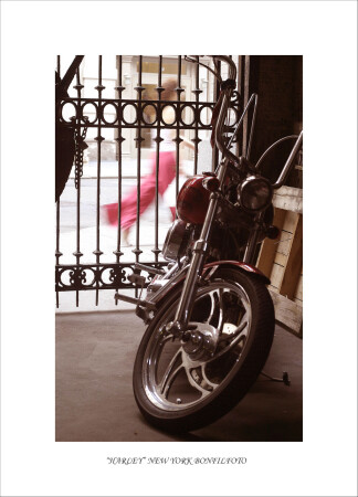"HARLEY" NEW YORK