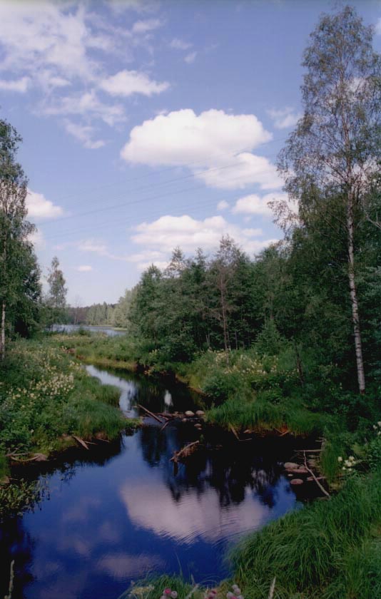 Речное облачко 
