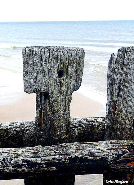 Wood and Sea