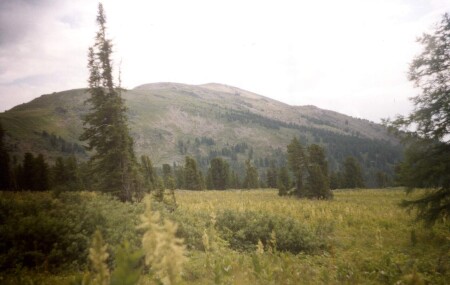 Гора