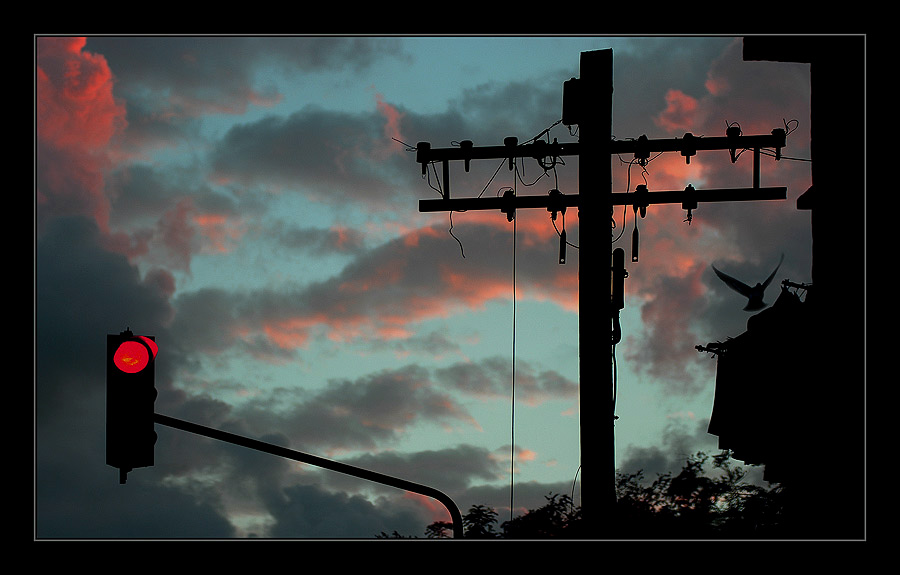 Evening Flight