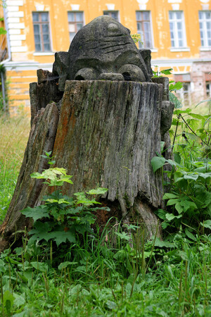 Старый пень