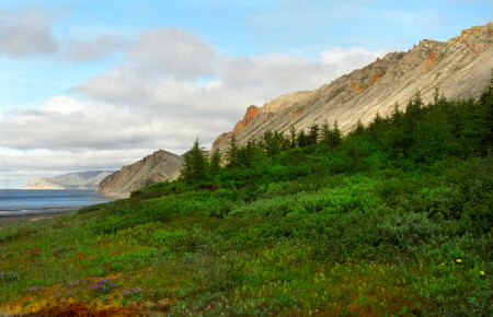 Берега Лены