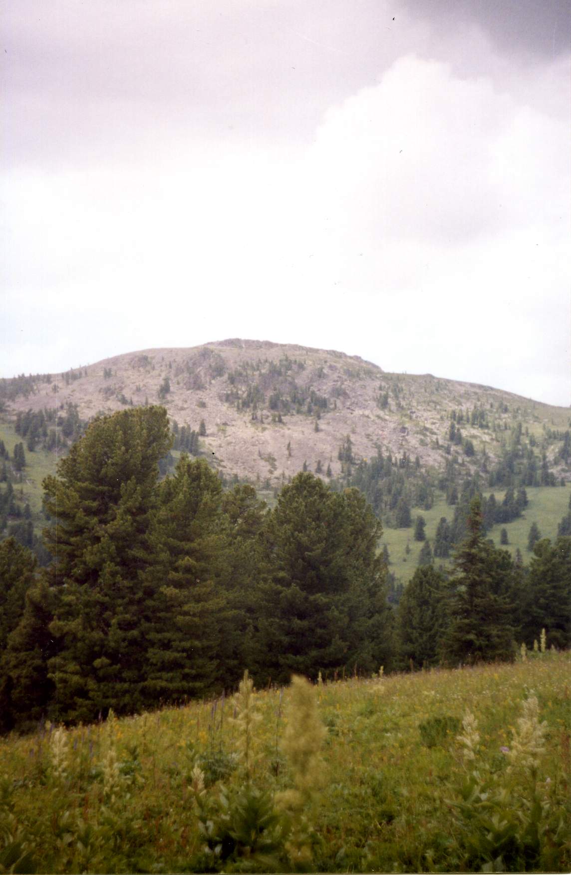 Гора 3