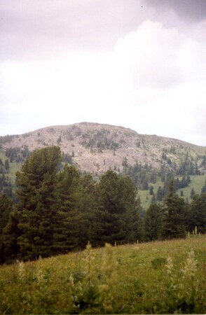 Гора 3