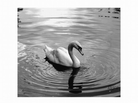 Спокойствие