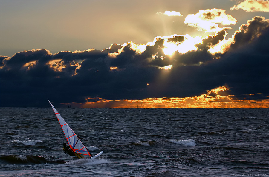 ~~~ WINDSURF ~~~