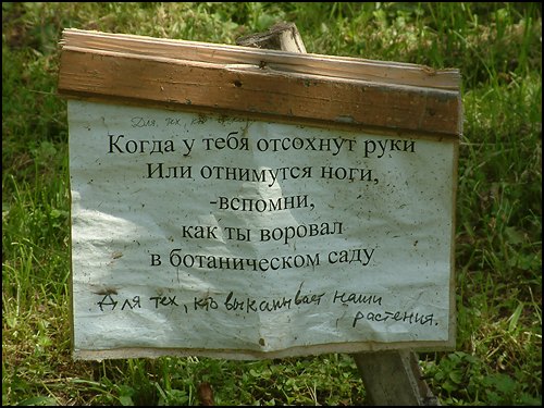 Добрые пожелания на табличке в ботаническом саду.