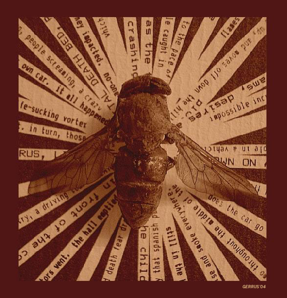 THE FLY