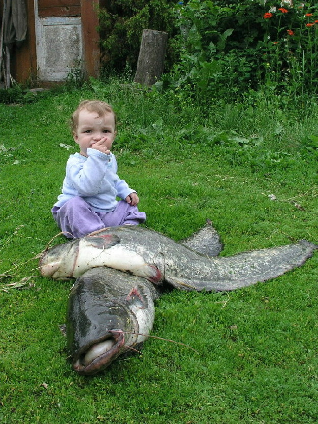 Рыболов любитель