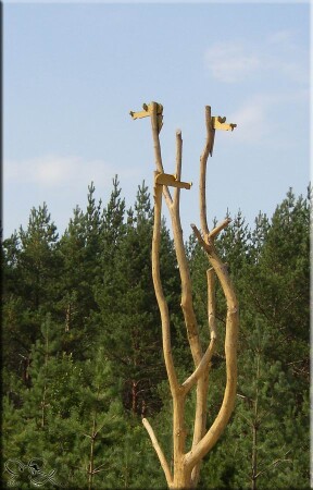 3-х главый