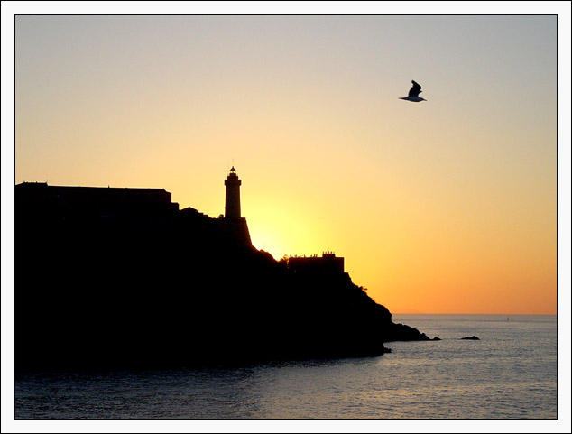 Free as the evening light