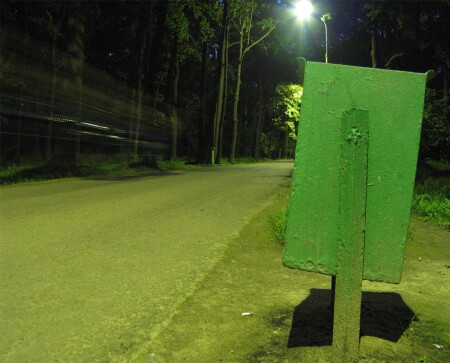 Воронцовский парк.
