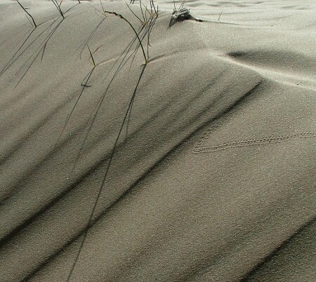 Вечер в пустыне