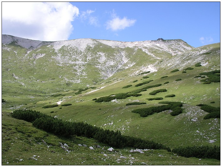 Альпийские луга
