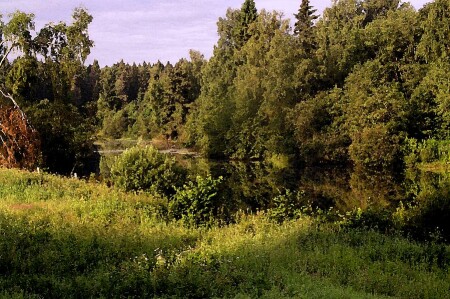 Летняя акварель