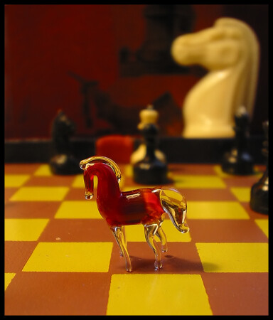 wrong horse