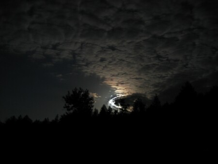 Лунная ночь