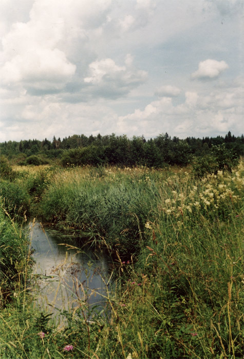 Поле
