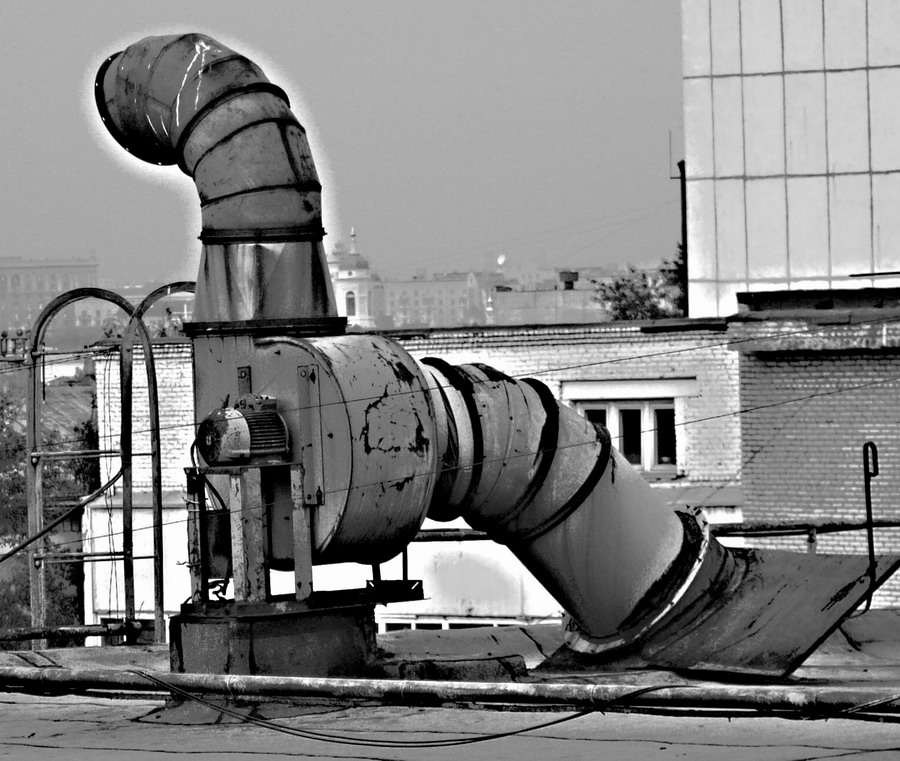 Животное