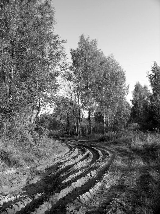 ДОРОГИ