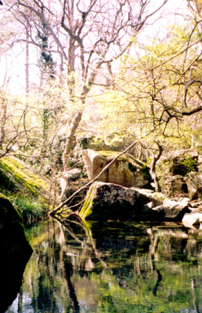 Пруд в Алупке