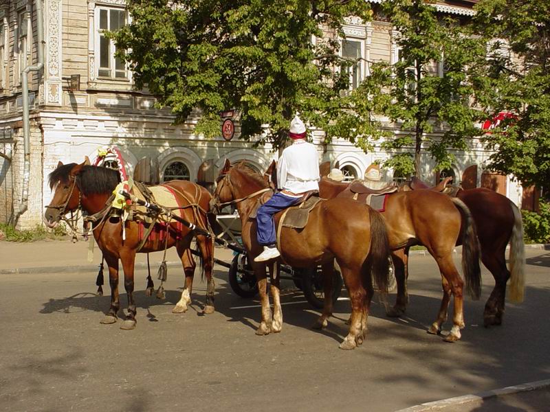Один всадник, четыре лошади и телега