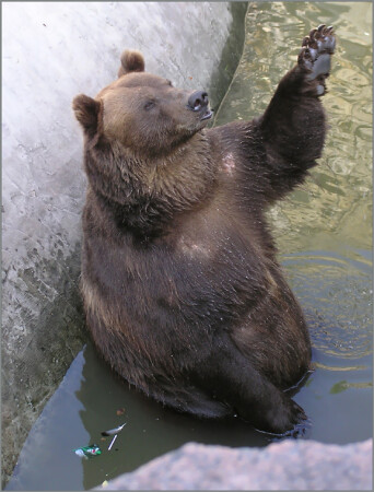 Он сказал &amp;quot;Поехали&amp;quot;!
