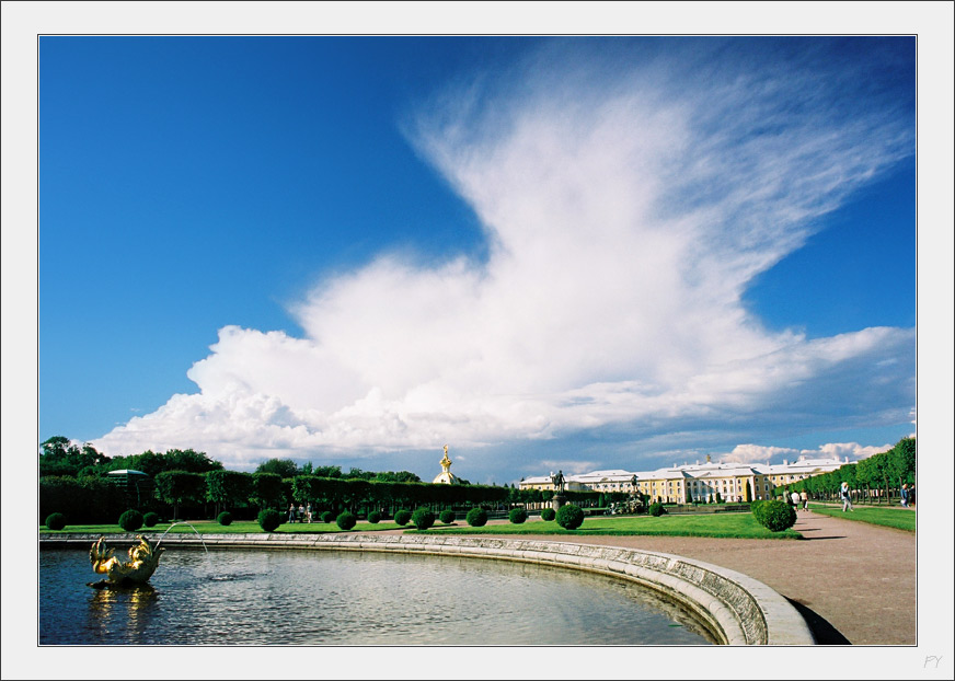 Крыло над Петергофом