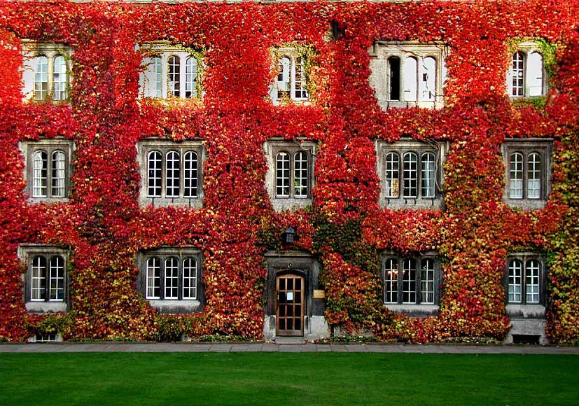 Oxford