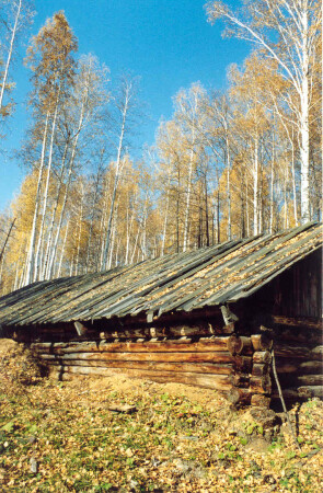 краски осени 2