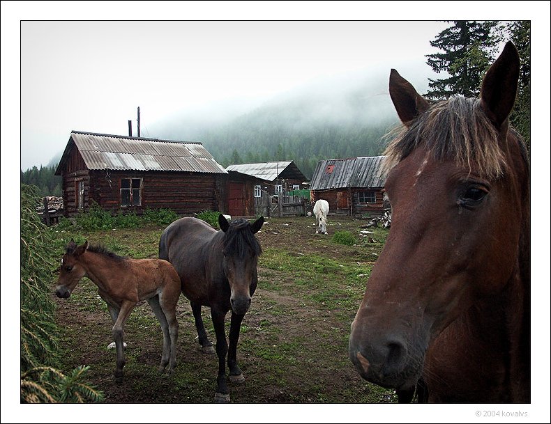 Сибирская глубинка