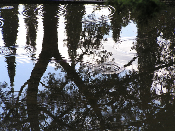 Reflections