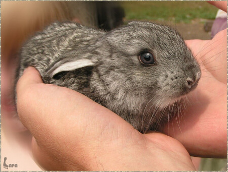 Пойдем ко мне, малыш!
