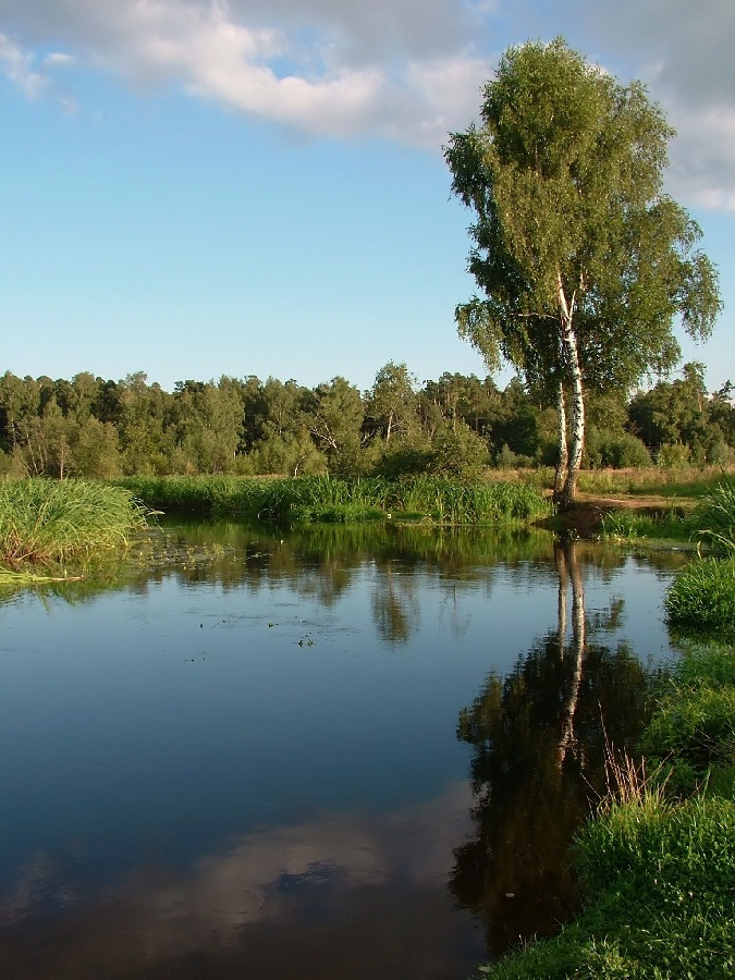 У реки