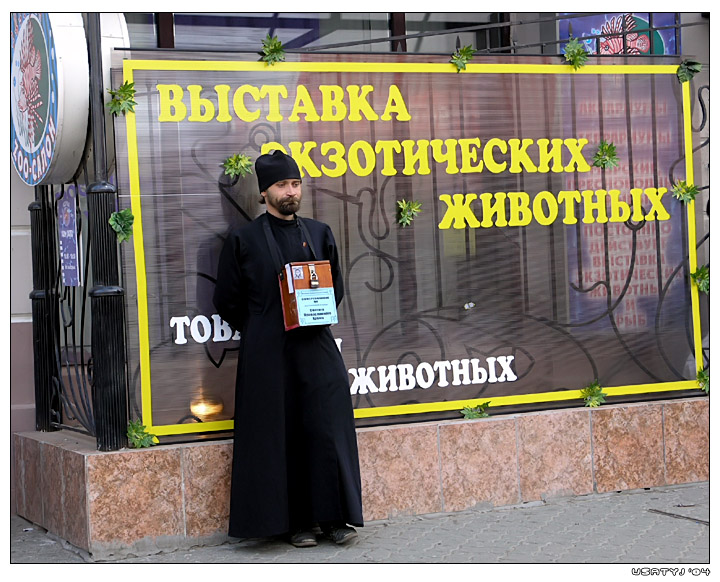 Выставка экзотических животных