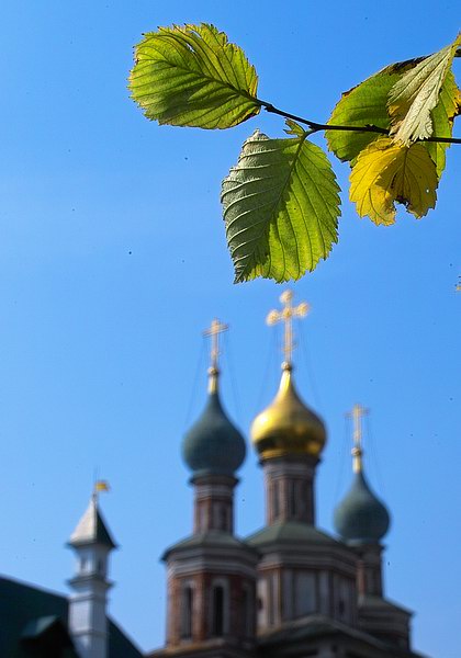 Этюд с веточкой