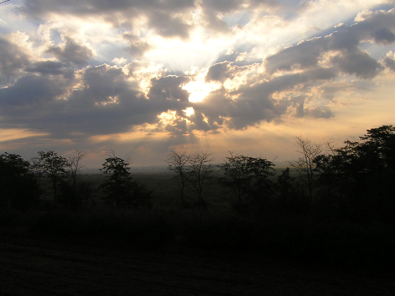 Dawning