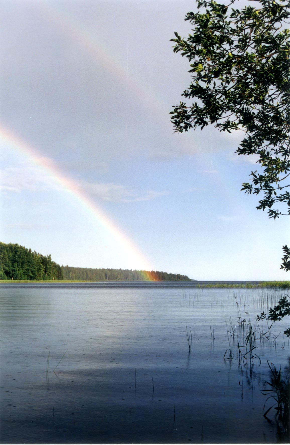 radugi