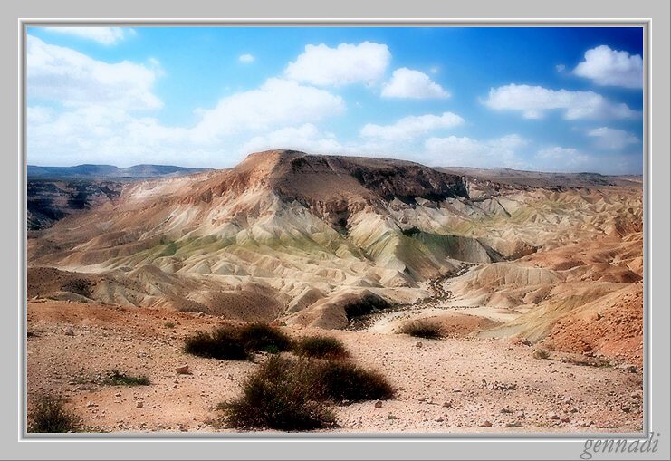 Negev