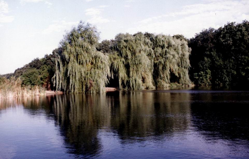 три сестры