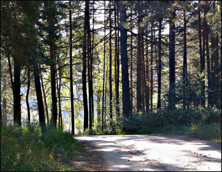 Белая дорога