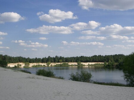 лес, вода, песок