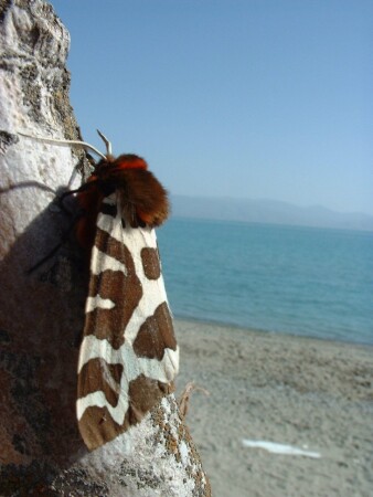 А меня совсем не видно